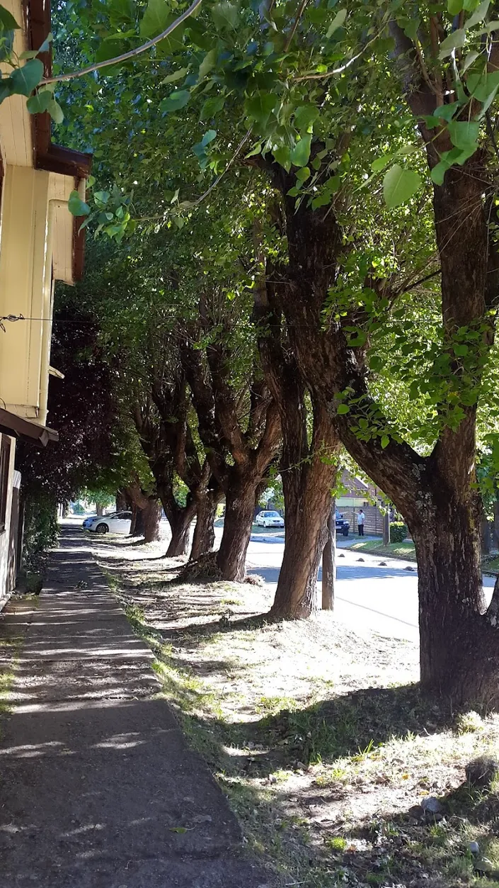 Alarcón Hermanos Cía. Ltda.