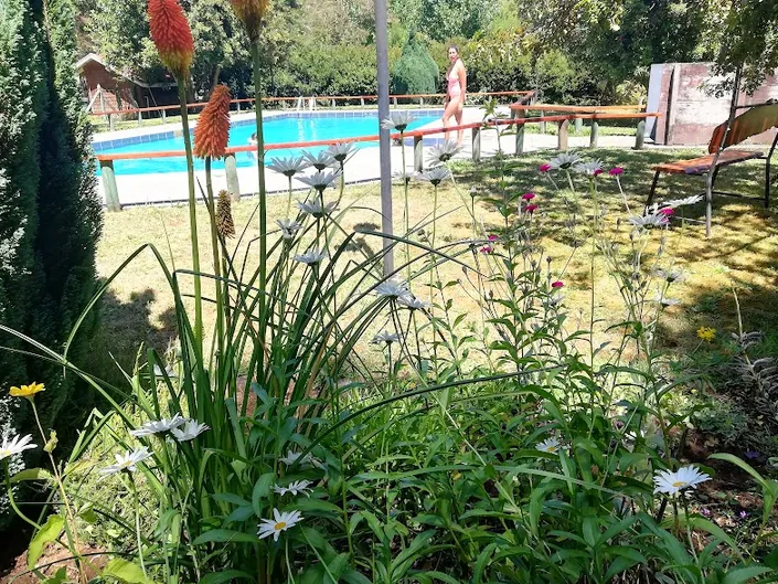 Camping Estero Cobulto Ltda