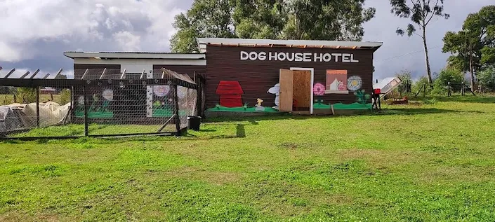 Dog House Hotel