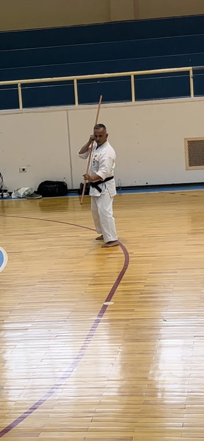 Dojo Uechi-Ryu Vilcun