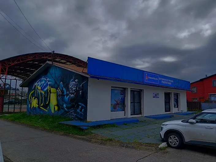 Pinturas Sherwin Williams Puerto Varas