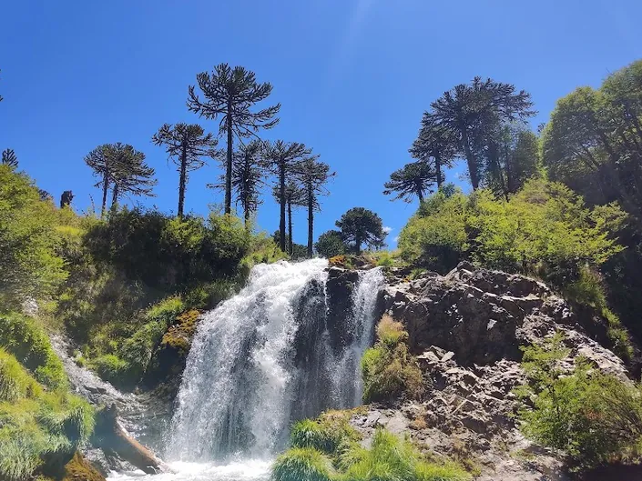 Turismo Aguas Claras Araucanía
