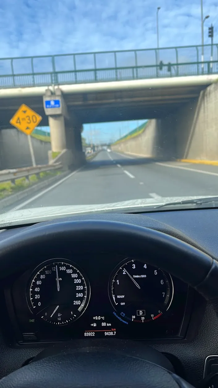 Zorro Automotriz